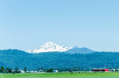 Mission, Fraser Valley, British Columbia, Kanada 'daki tarım çiftlikleri. Baker Dağı arka planda görülüyor