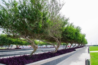 Katar 'daki MIA Parkı İslam Sanatları Müzesi' ne bağlı.