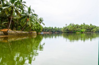 Hindistan cevizi palmiyeleri adası durgun sularla çevrili.