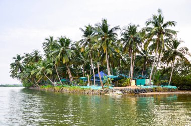 Hindistan 'da Kemman, Mangalore' da Hindistan cevizi palmiyeleri olan küçük bir ada.