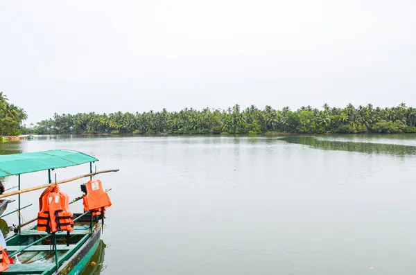 stock image coconut palms island surrounded by backwaters