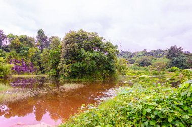 Manjal Paade, Mangalore, Hindistan 'daki gölde yansıma.