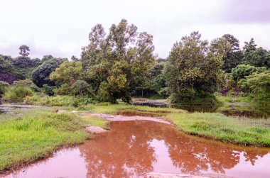 Reflection in the lake at Manjal Paade, Mangalore, India clipart