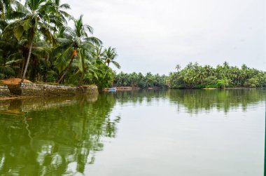 Hindistan cevizi palmiyeleri adası durgun sularla çevrili.