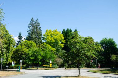 Vancouver, BC, Kanada 'daki Stanley Park' ın renkli manzarası