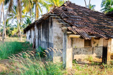 Terk edilmiş, harap olmuş çatı katı.