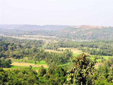 Mangalore 'un kırsal manzarası - Gurupura Kaikamba, Mangalore, Hindistan