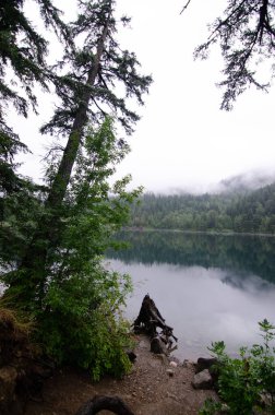 Ormanın gölü, çamların yansıması ve bulutlarla kaplı arka planda Umut, Britanya Kolumbiyası, Kanada