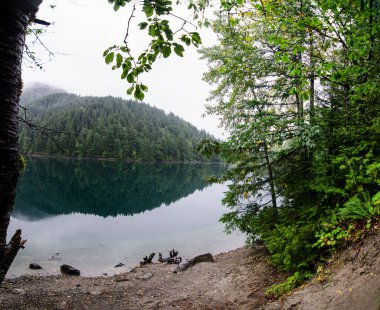 Ormanın gölü, çamların yansıması ve bulutlarla kaplı arka planda Umut, Britanya Kolumbiyası, Kanada