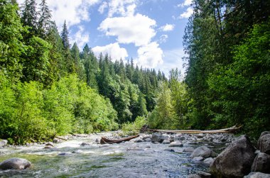 Cascade Falls yakınlarındaki Kettle Nehri BC, Kanada 'nın kuzeydoğusunda yer almaktadır.