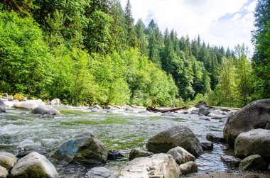 Cascade Falls yakınlarındaki Kettle Nehri BC, Kanada 'nın kuzeydoğusunda yer almaktadır.