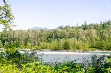 Chilliwack, British C, Olumnbia, Kanada 'dan geçen Vedder Nehri manzarası