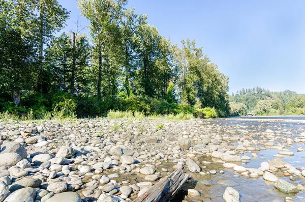 stock image View of the Vedder River winding through Chilliwack, British C,olumnbia, Canada, with pebbles on the river bed