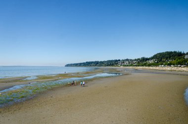 Surrey 'deki White Rock plajı, British Columbia, Kanada