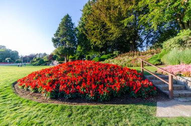 Kanada 'nın Surrey kentindeki Barış Kemeri Parkı' nda peyzaj yapmak Kanada-ABD sınır kapısı yakınlarında uluslararası bir parktır..