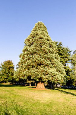 Peace Arch Park in Surrey, BC, Canada is an international park near Canada-US border crossing. clipart