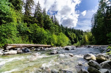 Cascade Falls yakınlarındaki Kettle Nehri BC, Kanada 'nın kuzeydoğusunda yer almaktadır.