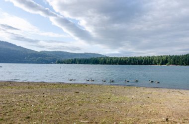 Chilliwack, Fraser Valley, British Columbia, Kanada 'daki Cultus Gölü' nün doğal güzelliği bulutlu bir günde