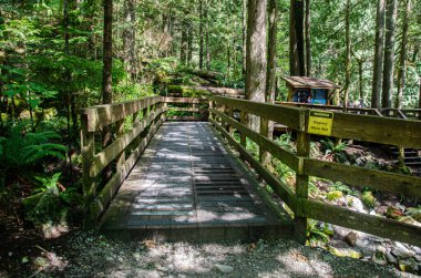 Cascade Falls 'a giden yokuş yukarı giden yol BC, Kanada' nın kuzeydoğusunda yer almaktadır.