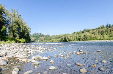 Vedder Nehri 'nin büyüleyici manzarası Chilliwack, British C, Olumnbia, Kanada' dan geçiyor.