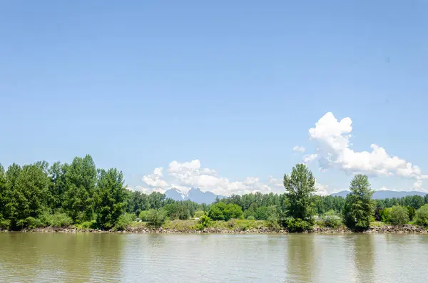 stock image Fraser River at Langley Fort, Canada, BC. Golden Ears Mountains visible in the background