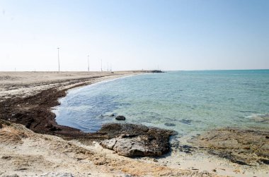 Rocky beach of As Salwa, Qatar
