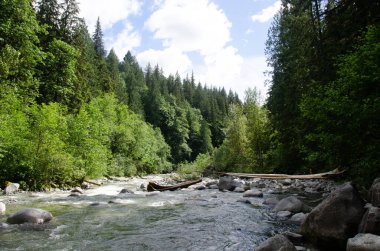 Cascade Falls yakınlarındaki Kettle Nehri BC, Kanada 'nın kuzeydoğusunda yer almaktadır.