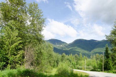 Fraser Vadisi 'nin Mission, British Columbia, Kanada çevresindeki muhteşem manzarası.