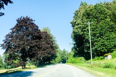 Chilliwack, British Columbia, Kanada çevresindeki Fraser Vadisi 'nin muhteşem manzarası
