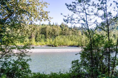 Vedder Nehri 'nin büyüleyici manzarası Chilliwack, British C, Olumnbia, Kanada' dan geçiyor.