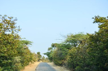 Hindistan, Rajasthan 'da dar bir köy yolu.