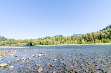 Vedder Nehri 'nin büyüleyici manzarası Chilliwack, British C, Olumnbia, Kanada' dan geçiyor.