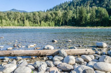 Vedder Nehri 'nin büyüleyici manzarası Chilliwack, British C, Olumnbia, Kanada' dan geçiyor.