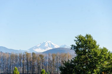 Fraser Vadisi 'nin Chilliwack, British Columbia, Kanada çevresindeki muhteşem sonbahar manzarası. Arka planda Baker Dağı' nın karla kaplı zirveleri var.