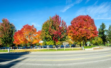 Abbotsford, BC, Kanada 'da yeşil, kırmızı, turuncu ve sonbaharın altın rengi ağaçların büyüleyici güzelliği