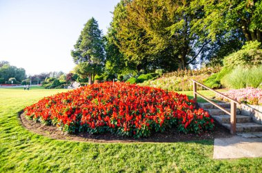 Surrey, BC, Kanada 'daki Peace Arch Park, Kanada-ABD sınır kapısında bulunan uluslararası bir parktır..