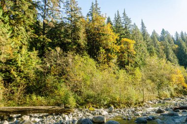 Cascade Falls yakınlarındaki Kettle Nehri BC, Kanada 'nın kuzeydoğusunda yer almaktadır.