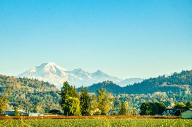 Spectacular view of Fraser Valley countryside around Chilliwack, British Columbia, Canada. Snow covere d peaks of Mt. Baker visible in the background clipart