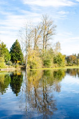 Abbotsford 'daki Mill Gölü, British Columbia, Kanada