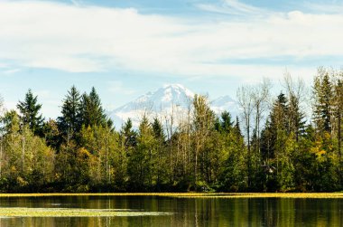 Abbotsford, British Columbia, Kanada 'daki Mill Gölü' nün arka planında Baker Dağı karla kaplı.