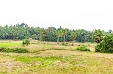 Hindistan kırsalının güzel manzarası Konkan Demiryolu boyunca Goa 'dan Mangalore' a.