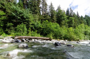 Cascade Falls yakınlarındaki Kettle Nehri BC, Kanada 'nın kuzeydoğusunda yer almaktadır.