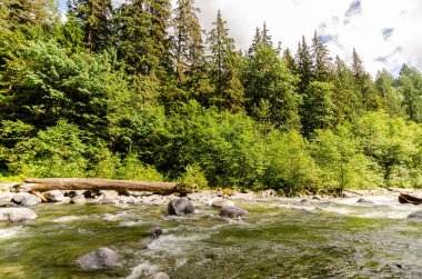 Cascade Falls yakınlarındaki Kettle Nehri BC, Kanada 'nın kuzeydoğusunda yer almaktadır.
