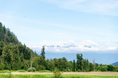 Fraser Vadisi, BC, Kanada 'da tarım çiftlikleri