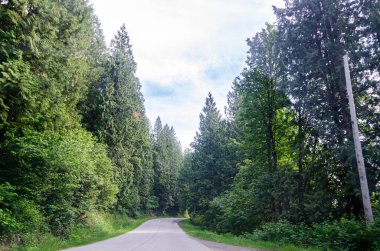 Fraser Vadisi 'nin Mission, British Columbia, Kanada çevresindeki muhteşem manzarası.