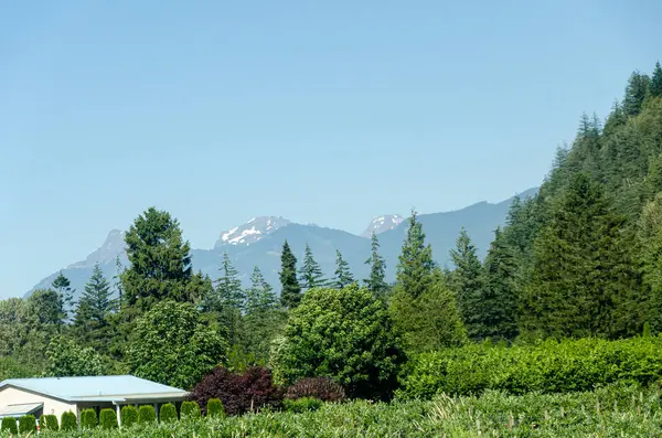 Chilliwack, British Columbia, Kanada çevresindeki Fraser Vadisi 'nin muhteşem manzarası