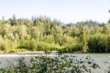 Vedder Nehri 'nin büyüleyici manzarası Chilliwack, British C, Olumnbia, Kanada' dan geçiyor.