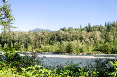 Vedder Nehri 'nin büyüleyici manzarası Chilliwack, British C, Olumnbia, Kanada' dan geçiyor.