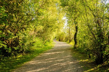 Fraser Nehri kıyısındaki Matsqui Patikası Mission Köprüsü, Fraser Vadisi, British Columbia, Kanada