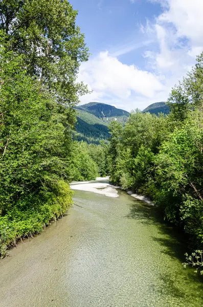 Dağlardan süzülen kristal berrak suyla bir nehir - Kettle Nehri 'nin kolu, British Columbia, Kanada